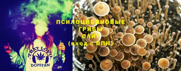 эйфоретик Володарск