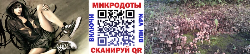 Галлюциногенные грибы Psilocybine cubensis  Осташков 